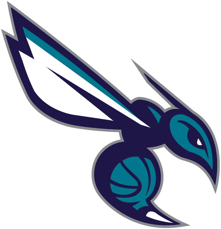 Charlotte Hornets 2014 15-Pres Alternate Logo iron on paper